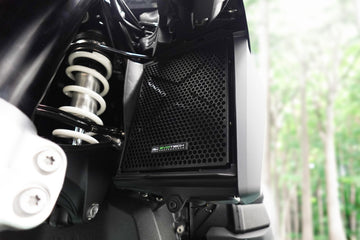 BMW R 1300 GS Option 719 Tramuntana [2024+] - Kühlerschutzgitter
