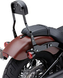 Harley-Davidson Street Bob [COBRA] – Sada odnímatelných opěrek zad-1