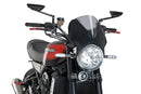 KAWASAKI Z 900 RS SE [2025] – Vision čelní štítek – tónovaný-2