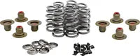 Harley-Davidson FLHTCUTG 1868 Tri Glide Ultra 114 [2023-2024] - Titanium Ventilfederhalter-Kit – Bild 9