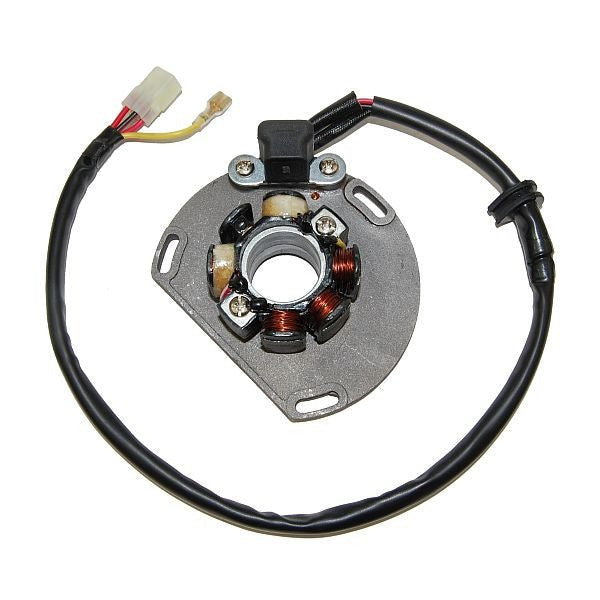 KTM 250 SXS [2006-2007] - Stator mit Magnetspule Coil - KTM