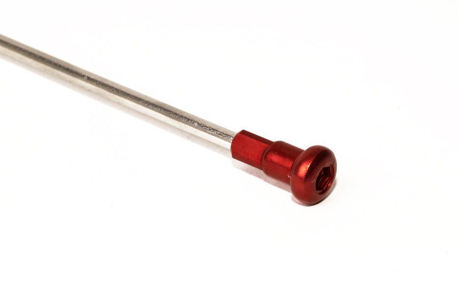 Honda CRF 250 RWE [2025-2027] - Vorderrad Komplett 21x1,60x36T