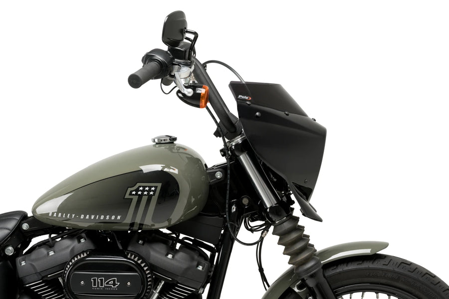 HARLEY DAVIDSON SOFTAIL STREET BOB FXBB [2019] – Mirage – Tónovaná
