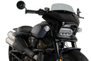 HARLEY DAVIDSON SPORTSTER S RH 1250 S [2024] – Fury – Transparent-32