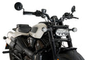 HARLEY DAVIDSON SPORTSTER S RH 1250 S [2024] – Fury – Silně zabarvený-26