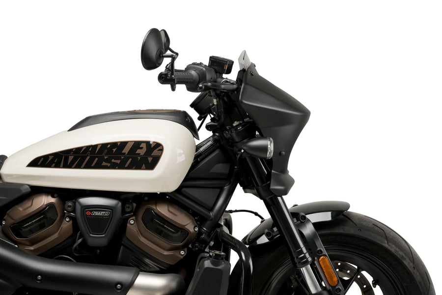HARLEY DAVIDSON SPORTSTER S RH 1250 S [2024] – Fury – Silně zabarvený