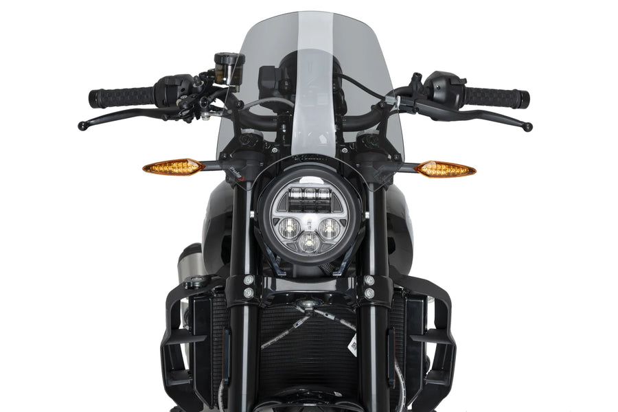 INDIAN FTR 1200 SPORT [2025] – Sport nové generace – Transparentní