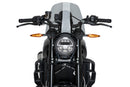 INDIAN FTR 1200 SPORT [2025] – Sport nové generace – Tónovaný-1