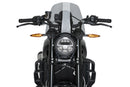 INDIAN FTR 1200 SPORT [2025] – Sport nové generace – Tónovaný-3