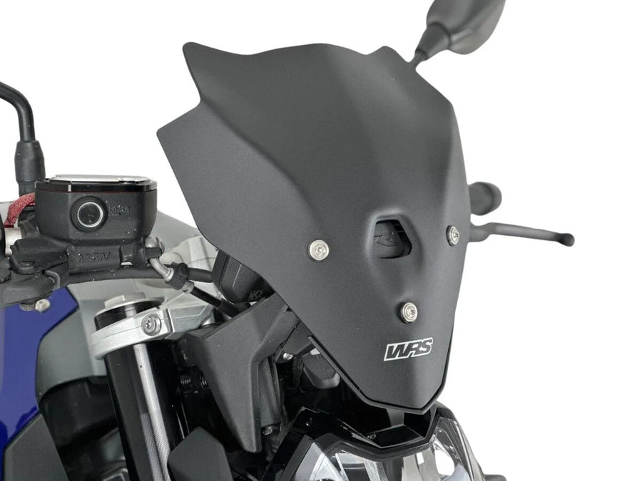 BMW F 900 R [WRS] - čelní sklo