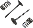 Suzuki RM 250 [PROX] – Ventil- und Federnsatz