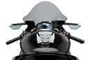 BMW S 1000 RR [2025] – čelní sklo R-Racer – silně tónované-3
