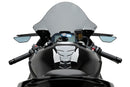 BMW S 1000 RR [2025] – čelní sklo R-Racer – tónované