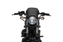 YAMAHA XV 950 R [2020] – ALU přední deska – stříbrná-7