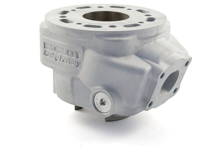 Beta RR Enduro 50 2T - Zylinderkit RF70WR