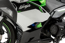 KAWASAKI NINJA E-1 [2025] – Crash Pad R19 – černá-1