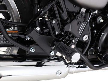 Kawasaki W 800 Street [2019-2025]