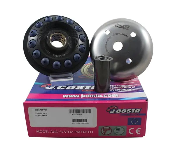 Kymco People 300 [2008-2010] - Variator Pro – Bild 2