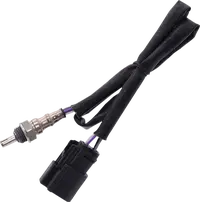 Harley-Davidson Vrscf 1250 V Rod Muscle [2013, 2015-2017] - 12 mm Lambdasonde – Art.-Nr. 9905 – Bild 11