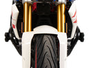 BMW G 310 GS [2017-2025] - Schutzbügel