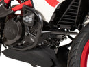 BMW G 310 GS [2017-2025] - Schutzbügel