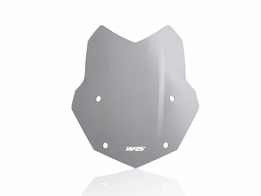 BMW R 1200 R [WRS] - čelní sklo