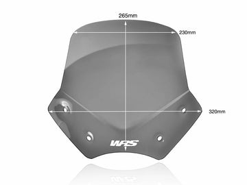BMW R 1200 R [WRS] - čelní sklo - 0