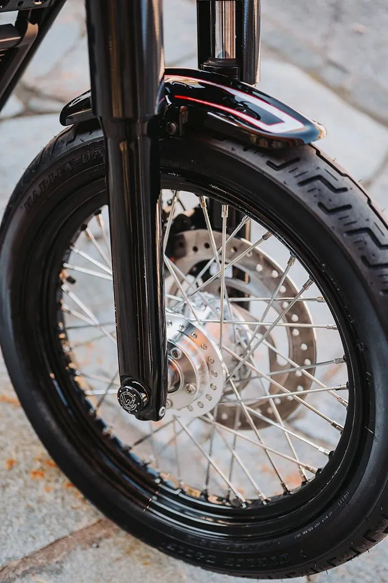 harley davidson fxdrs 114 [CULT WERK] – kryt náprav