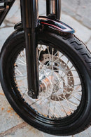 harley davidson fxdrs 114 [CULT WERK] – kryt náprav-6