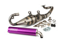 Aprilia SR Netscaper 50 2T LC - Výfuk R-Pro Purple
