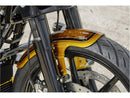 Harley Davidson Touring [RICK'S MOTOCYCLES] - Touring přední blatník-3