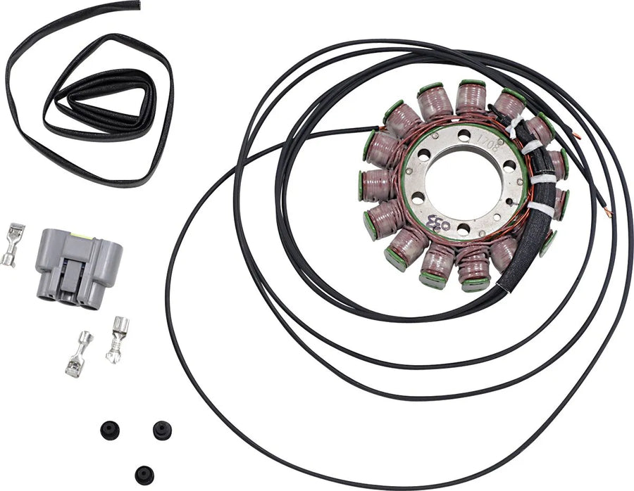 bmw s 1000 [RICK'S MOTORSPORT ELECTRIC] - stator ve stylu OEM