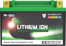 Harley Davidson Fx Model [SKYRICH] - Lithium-Ion baterie - LTX20CH-3
