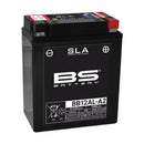 Yamaha XT 600 [BS baterie] - motocyklová baterie-1