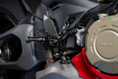 Ducati Panigale v4 [Gilles Toolling] - vrácené MUE2 Rastanlage-3