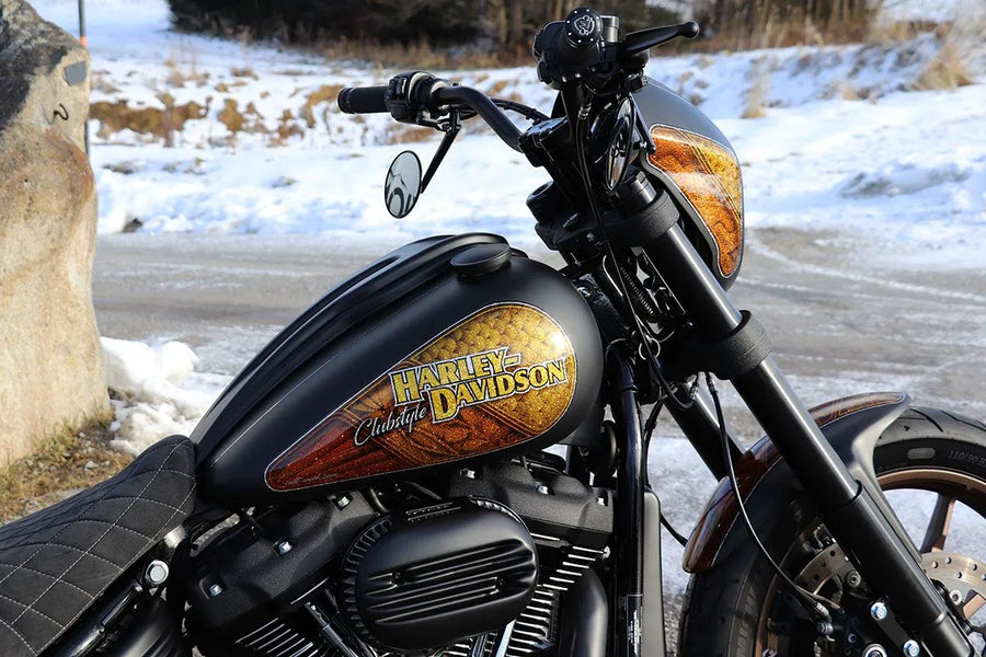 Harley-Davidson Low Rider [CULT WERK] – Kryt palubní desky pro Harley