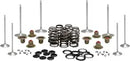 Harley-Davidson FXBR 1923 Softail Breakout 117 [2024] - Titanium Ventilfederhalter-Kit – Art.-Nr. 1208 – Bild 7