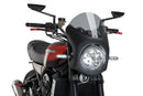 KAWASAKI Z 900 RS SE [2025] – Retro kapotáž – tónovaná-8