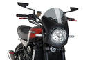 KAWASAKI Z 900 RS SE [2025] – Retro čelní sklo – silně tónované-8