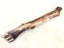 Honda GL 1500 Goldwing SC22 [1988] - Final Silencer Right-2