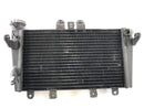 Triumph Speed ​​Triple 1050 515NJ [2006] - Cool Water Cooler-4