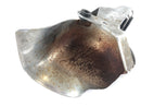 Triumph Thunderbird 900 RT T309 [1997] - Chrome Cover pro roh-3