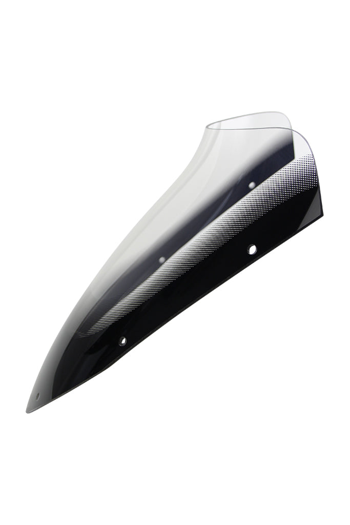 Yamaha FZS 600 Fazer [1998-2001] -Spoiler Disc "Sn"