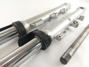 Triumph Sprint 955i RS T695 [2000] - Fork Telegabel s osou-5
