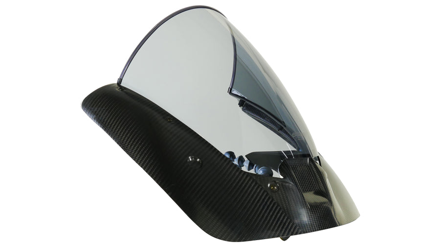 BMW M 1000 RR [2025-]-Racing Disc "RM"