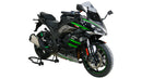 Kawasaki Ninja 1100 SX [2025-]-Racing Disc "R"-4