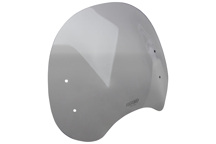 BMW R Nine-T [-2023] -Touring Disc "NTM"