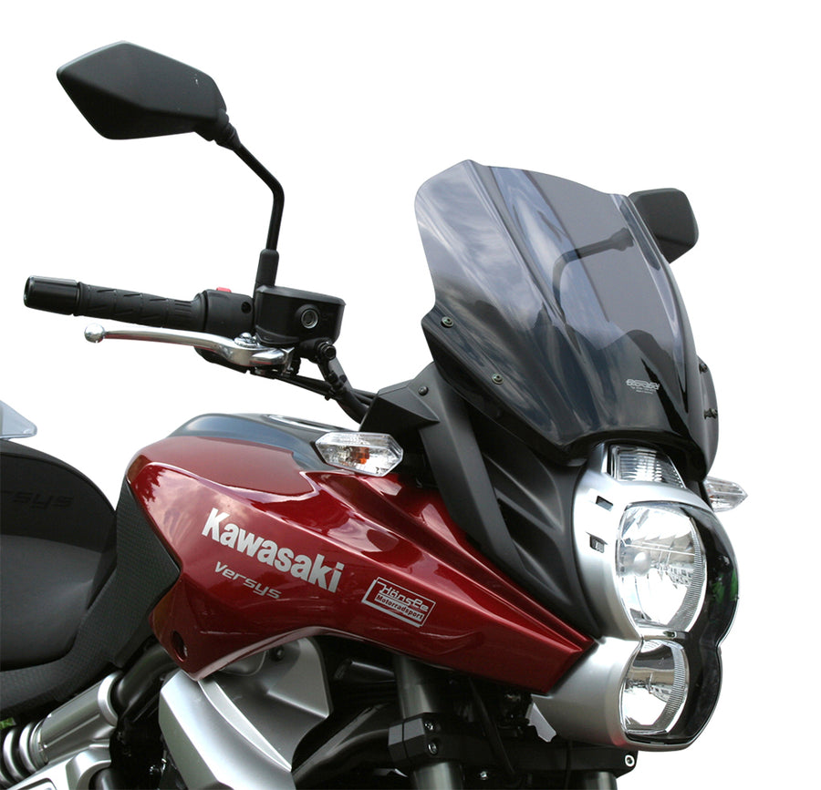 Kawasaki Versys 650 [2010-2014]-DOURING DISC "TM"
