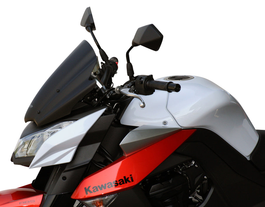 Kawasaki Z 1000 [2010-2013]-Disk „RN“ “