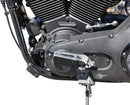 harley davidson sportster s 1250 [THRASHIN SUPPLY CO.] - řadicí kolík P-54-4